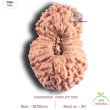 Load image into Gallery viewer, 18 Mukhi Rudraksha from Indonesia - Bead No. 90