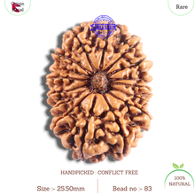 Load image into Gallery viewer, 15 Mukhi Rudraksha from Nepal - Bead No. 83
