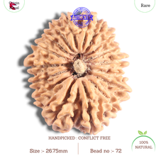 Load image into Gallery viewer, 17 Mukhi Nepalese Rudraksha - Bead No. 72