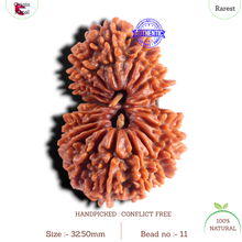 Load image into Gallery viewer, 20 Mukhi Gaurishankar Nepalese Rudraksha - Bead No 11