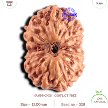 Load image into Gallery viewer, 15 Mukhi Indonesian Rudraksha - Bead No.328