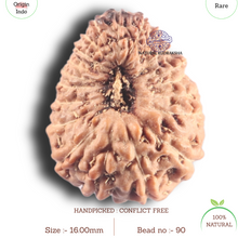 Load image into Gallery viewer, 20 Mukhi Indonesian Rudraksha - Bead 90