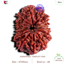 Load image into Gallery viewer, 15 Mukhi Rudraksha from Nepal - Bead No. 28