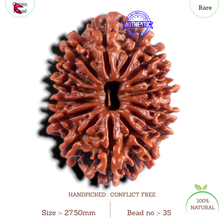 Load image into Gallery viewer, 15 Mukhi Rudraksha from Nepal - Bead No. 35