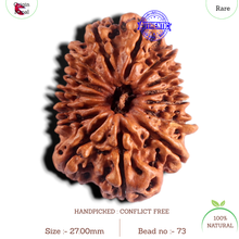 Load image into Gallery viewer, 15 Mukhi Rudraksha from Nepal - Bead No. 73