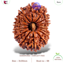 Load image into Gallery viewer, 16 Mukhi Rudraksha from Nepal - Bead No. 98