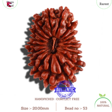 Load image into Gallery viewer, 18 Mukhi Rudraksha from Nepal - Bead No. 53