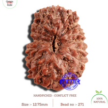 Load image into Gallery viewer, 16 Mukhi Rudraksha from Indonesia - Bead No 271