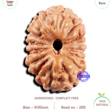 Load image into Gallery viewer, 15 Mukhi Indonesian Rudraksha - Bead No.295
