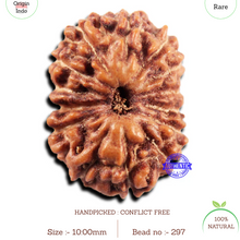 Load image into Gallery viewer, 15 Mukhi Indonesian Rudraksha - Bead No.297