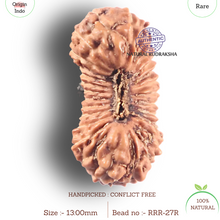 Load image into Gallery viewer, 27 Mukh Rudraksha from Indonesia - Bead No. R