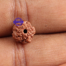 Load image into Gallery viewer, Non Mukhi Rudraksha from Indonesia - Bead No. 16