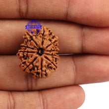 Load image into Gallery viewer, 10 Mukhi Nepalese Rudraksha - Bead No 191