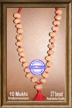 Load image into Gallery viewer, 10 mukhi Rudraksha Mala (27 beads - Indonesian)