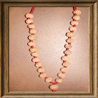 Load image into Gallery viewer, 10 mukhi Rudraksha Mala (27 beads - Indonesian)