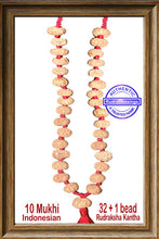 Load image into Gallery viewer, 10 Mukhi Rudraksha Kantha (32 +1 beads - Indonesian)