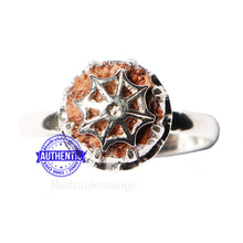 Load image into Gallery viewer, 10 Mukhi Indonesian Rudraksha Ring - 1