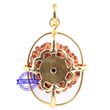 Load image into Gallery viewer, 10 Mukhi Rudraksha from Indonesia - Bead No. 134 (Gold Plated Bracket)