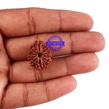 Load image into Gallery viewer, 10 Mukhi Nepalese Rudraksha - Bead No. 207