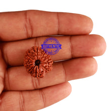 Load image into Gallery viewer, 10 Mukhi Nepalese Rudraksha - Bead No. 234