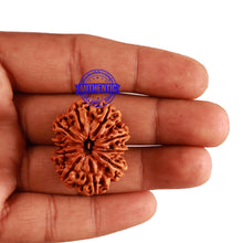 Load image into Gallery viewer, 10 Mukhi Nepalese Rudraksha - Bead No. 280