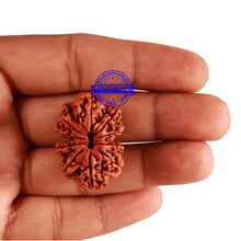 Load image into Gallery viewer, 10 Mukhi Nepalese Rudraksha - Bead No. 281