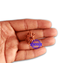 Load image into Gallery viewer, 10 Mukhi Nepalese Rudraksha - Bead No. 325