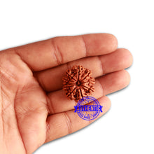 Load image into Gallery viewer, 10 Mukhi Nepalese Rudraksha - Bead No 338