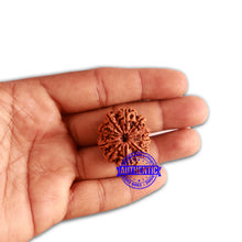 Load image into Gallery viewer, 10 Mukhi Nepalese Rudraksha - Bead No. 340