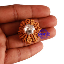 Load image into Gallery viewer, 10 Mukhi Nepalese Rudraksha - Bead No. 7