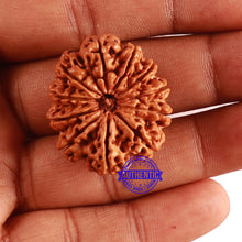 Load image into Gallery viewer, 11 Mukhi Nepalese Rudraksha - Bead No. 291