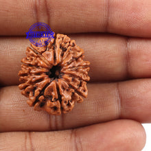 Load image into Gallery viewer, 11 Mukhi Nepalese Rudraksha - Bead No. 120