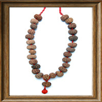 Load image into Gallery viewer, 11 mukhi Rudraksha Mala (27 beads - Indonesian)