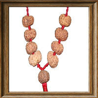 Load image into Gallery viewer, 11 mukhi Rudraksha Wrist Mala / Kanthas (9 beads - Indonesian)