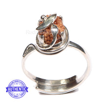 Load image into Gallery viewer, 11 Mukhi Indonesian Rudraksha Ring - 1