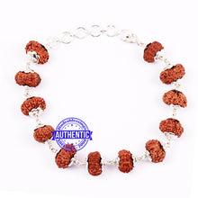 Load image into Gallery viewer, 11 Mukhi Indonesian Rudraksha Bracelet (Pure Silver)