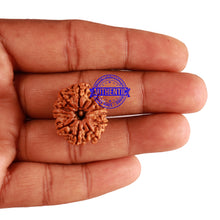 Load image into Gallery viewer, 11 Mukhi Nepalese Rudraksha - Bead No. 194