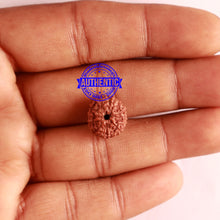 Load image into Gallery viewer, 11 Mukhi Indonesian Rudraksha - Bead No. 221
