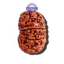 Load image into Gallery viewer, 11 Mukhi Nepalese Rudraksha - Bead No. 227