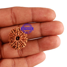 Load image into Gallery viewer, 11 Mukhi Nepalese Rudraksha - Bead No. 238