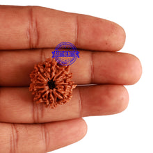 Load image into Gallery viewer, 11 Mukhi Nepalese Rudraksha - Bead No. 243