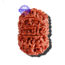 Load image into Gallery viewer, 11 Mukhi Nepalese Rudraksha - Bead No. 263