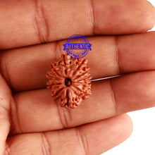 Load image into Gallery viewer, 11 Mukhi Nepalese Rudraksha - Bead No. 266