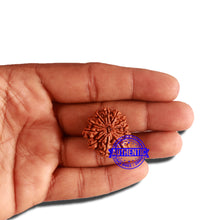 Load image into Gallery viewer, 11 Mukhi Nepalese Rudraksha - Bead No. 310
