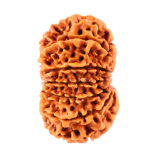 Load image into Gallery viewer, 12 Mukhi Nepalese Rudraksha - Bead No. 78
