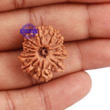 Load image into Gallery viewer, 12 Mukhi Nepalese Rudraksha - Bead No. 109