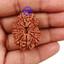 Load image into Gallery viewer, 12 Mukhi Nepalese Rudraksha - Bead No 139