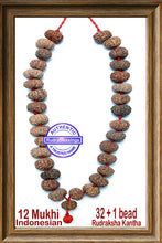 Load image into Gallery viewer, 12 mukhi Rudraksha kantha (32 + 1 beads - Indonesian)
