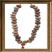 Load image into Gallery viewer, 12 mukhi Rudraksha kantha (32 + 1 beads - Indonesian)