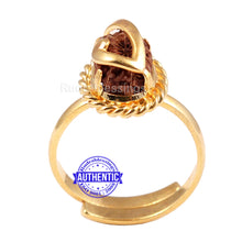 Load image into Gallery viewer, 12 Mukhi Indonesian Rudraksha Ring - 1